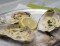 Oesters in de oven